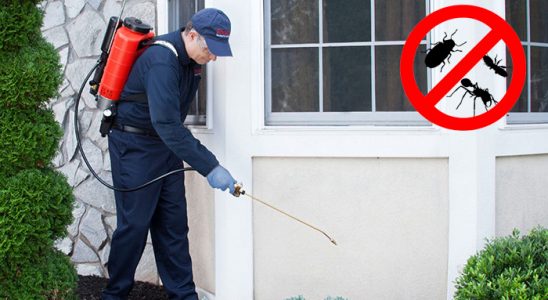 Villakent Dezenfeksiyon böcek ilaçlama ve haşere kontrolü — ilaclama-tr.com